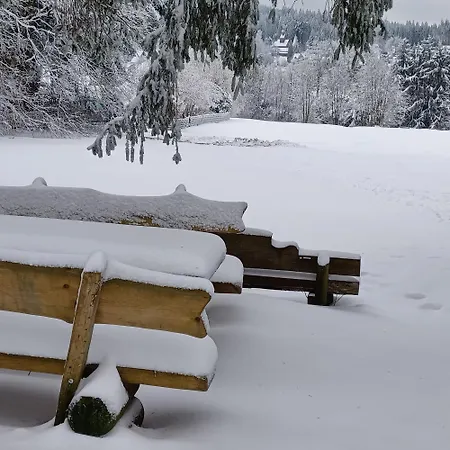 Hahnenklee Holiday home *